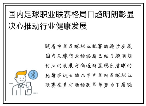 国内足球职业联赛格局日趋明朗彰显决心推动行业健康发展